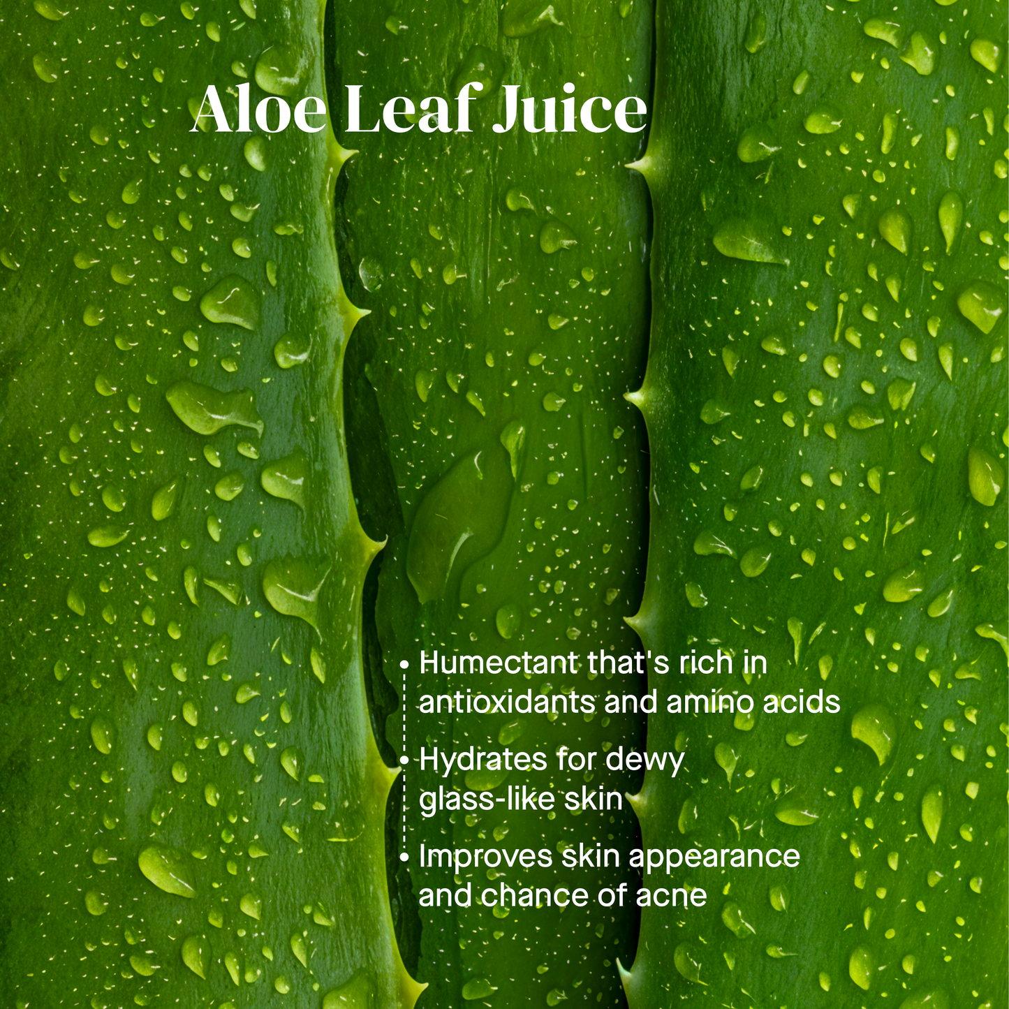 Aloe & Tea Tree Vitality Gel