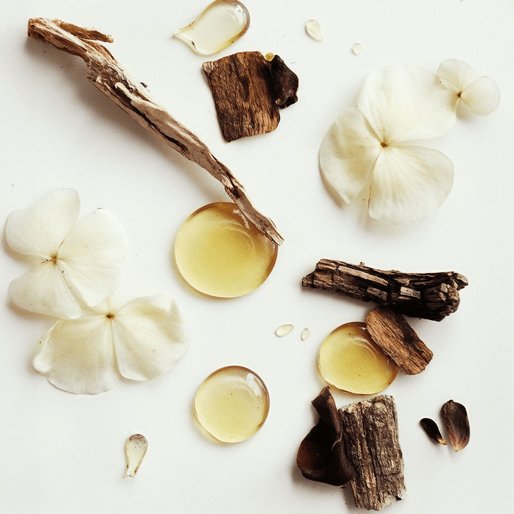 Whipped Tallow Vanilla Balm
